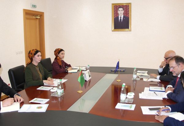 Turkmenistan, EU step up dialogue on bilateral cooperation in Ashgabat