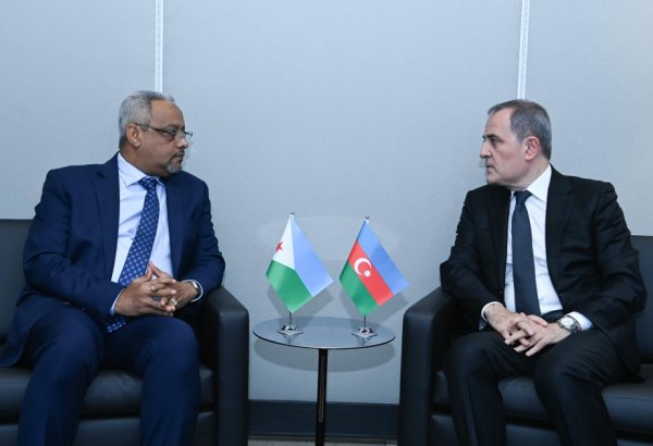Azerbaijan, Djibouti review bilateral relations, regional security