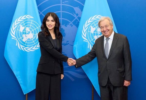 Uzbekistan’s UN cooperation reaches 166 projects worth $293M