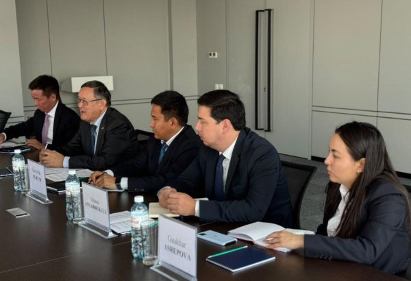 Kazakhstan, UK discuss cooperation in peaceful use of nuclear energy
