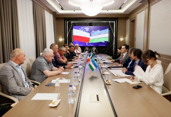 Uzbekistan eyes route for Polish goods to Afghanistan, Iraq markets