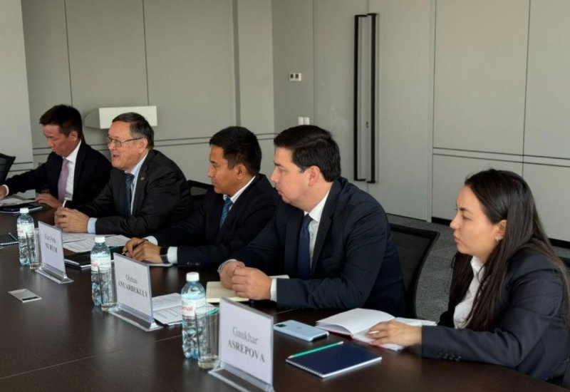 Kazakhstan, UK discuss cooperation in peaceful use of nuclear energy