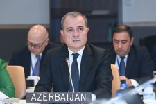 Azerbaijani FM addresses OIC Contact Group Meeting on Jammu and Kashmir (PHOTO)