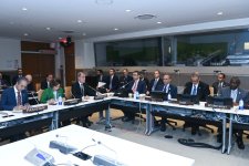 Azerbaijani FM addresses OIC Contact Group Meeting on Jammu and Kashmir (PHOTO)