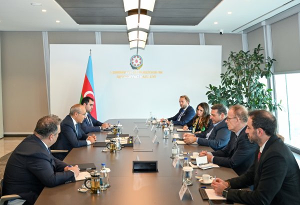Azerbaijan, Karadeniz Holding explore investment opportunities, projects (PHOTO)