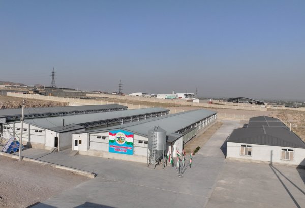 Tajikistan expands poultry meat processing capacity in Khujand city