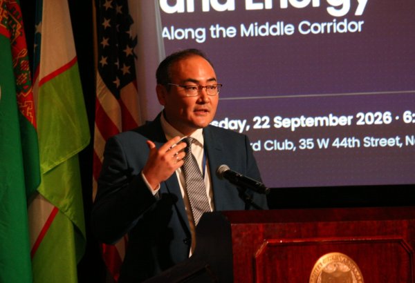 Middle Corridor container traffic set to grow further – Kazakh Invest