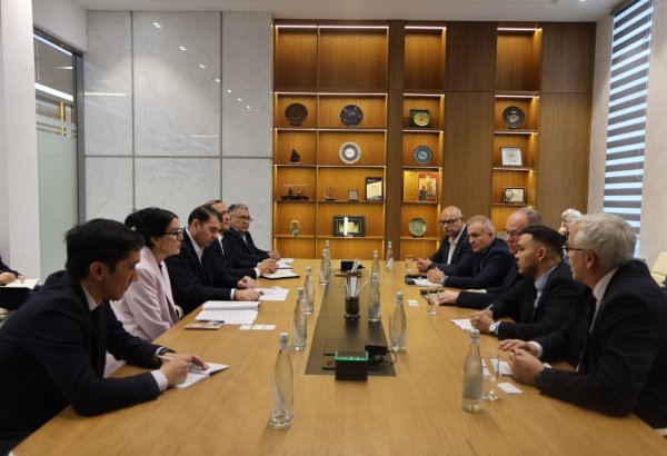 Uzbekistan, Poland review joint work in geology and mineral resources
