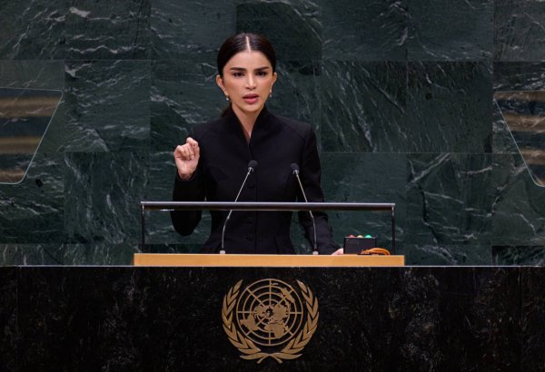 Uzbekistan targets 54% renewable energy share by 2030 – Mirziyoyeva