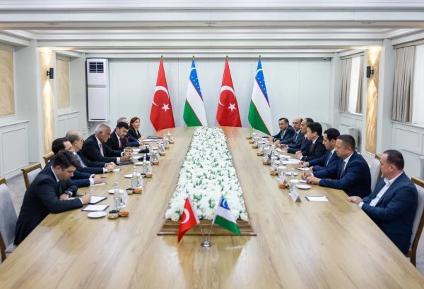 Uzbekistan, Türkiye seek to boost tourist flows, air connectivity