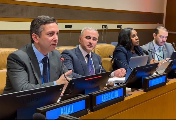Azerbaijan presents island heritage protection program at UN (PHOTO)
