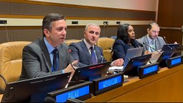 Azerbaijan presents island heritage protection program at UN (PHOTO)