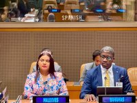 Azerbaijan presents island heritage protection program at UN (PHOTO)