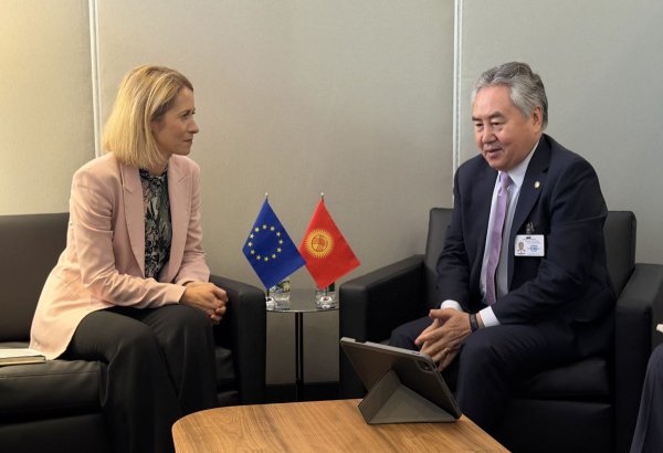 Kyrgyzstan, EU discuss implementation of joint investment projects