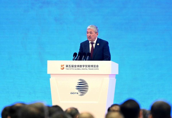 Kyrgyzstan seeks to expand international cooperation in digital trade and AI