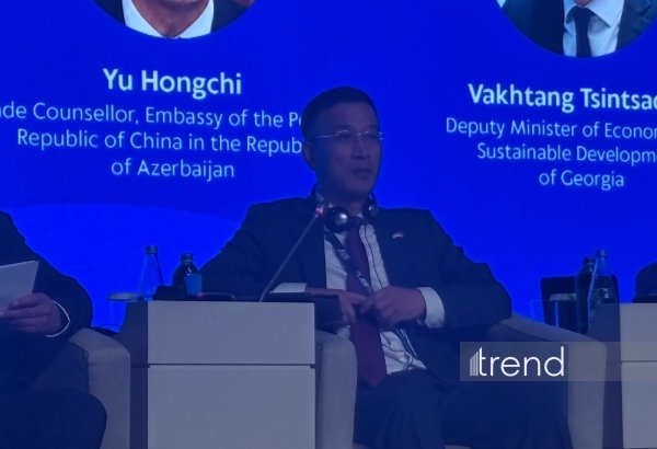 Middle Corridor becomes important route for regular int'l transport - Chinese official