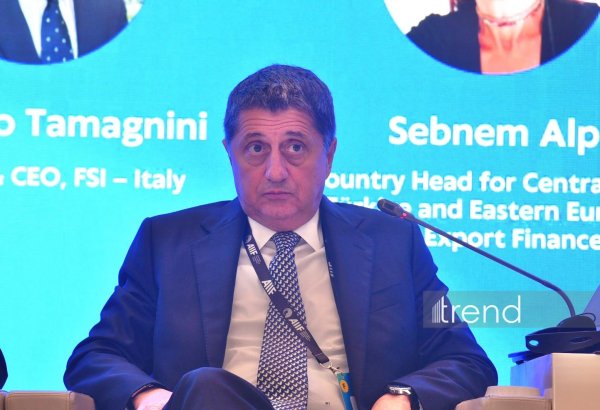 Italian companies' manufacturing facilities planned for Azerbaijan's free economic zones