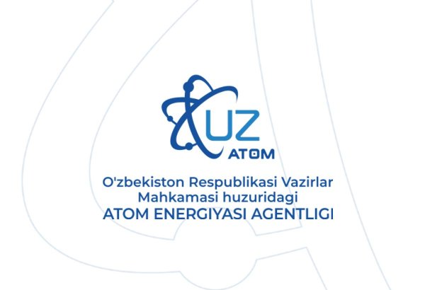 Turkish Özaltın Holding eyes role in Uzbek Uzatom nuclear plant project