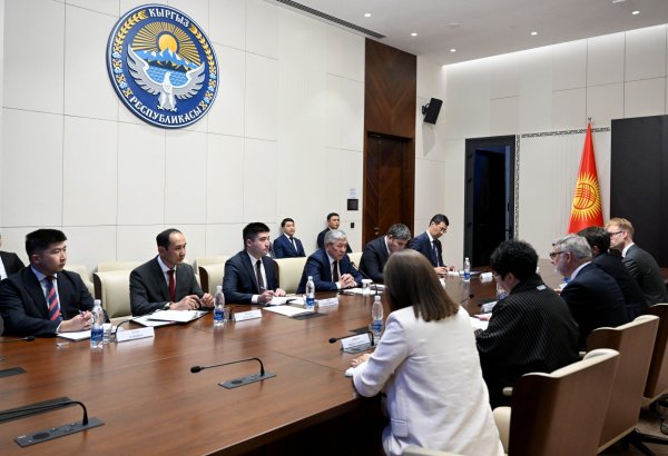 Kyrgyzstan and UK discuss prospects for economic and investment cooperation