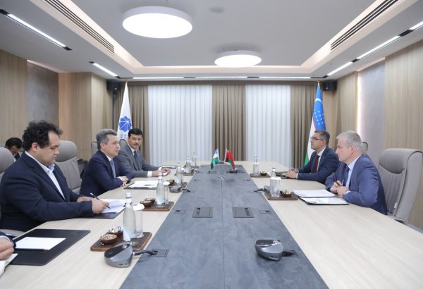Uzbekistan, Belarus discuss boosting IT services exports
