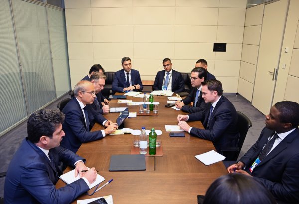 Azerbaijan, Brookfield Asset Management brainstorm energy transition
