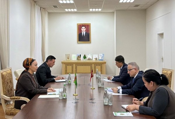Turkmenistan, Türkiye discuss expanding economic cooperation