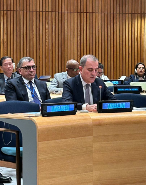 Azerbaijani FM addresses high-level meeting marking 5th anniversary of Global Development Initiative