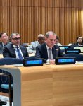 Azerbaijani FM addresses high-level meeting marking 5th anniversary of Global Development Initiative