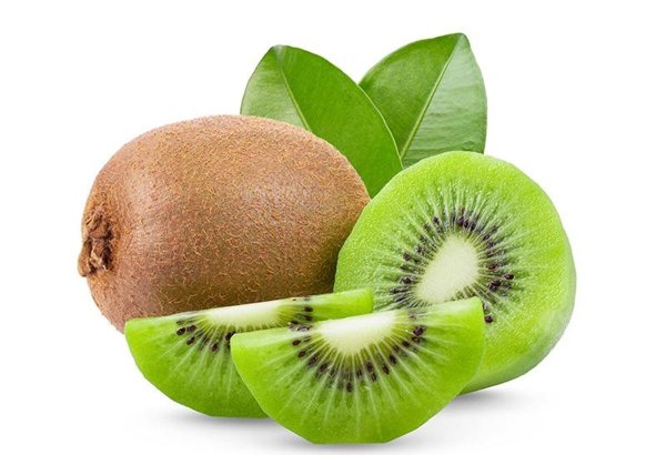 Iran reveals kiwi export figures from Gilan Province