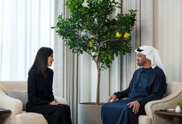 Uzbekistan, UAE explore new avenues for economic, AI cooperation