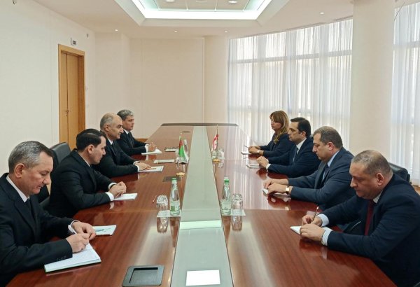 Turkmenistan, Georgia discuss prospects for bilateral cooperation