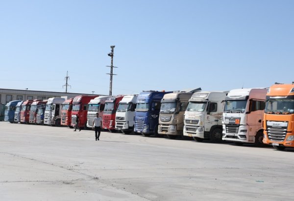 Uzbekistan-Kazakhstan border freight flow nears 3,000 trucks daily
