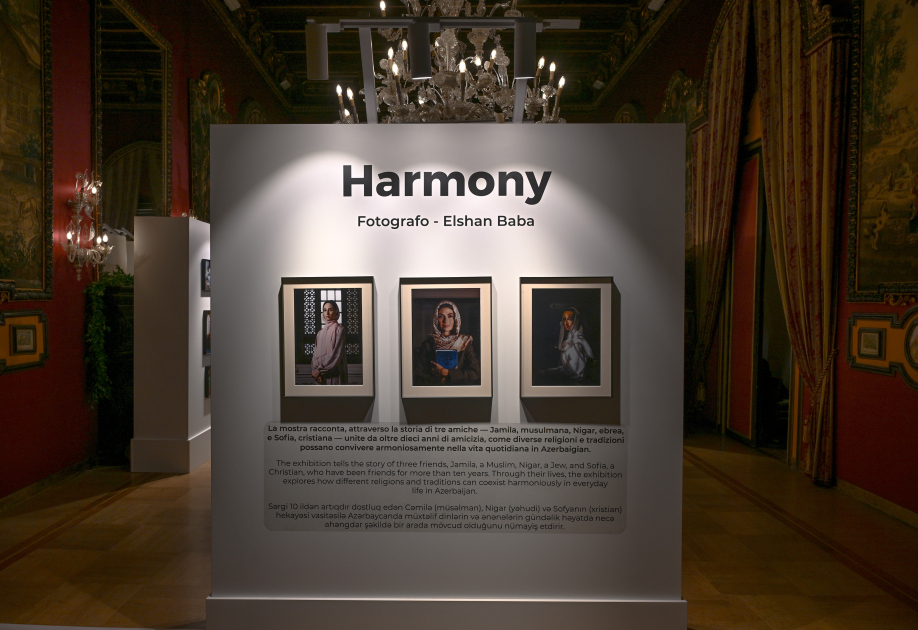 Leyla Aliyeva attends presentation of "Harmony" documentary (PHOTO)