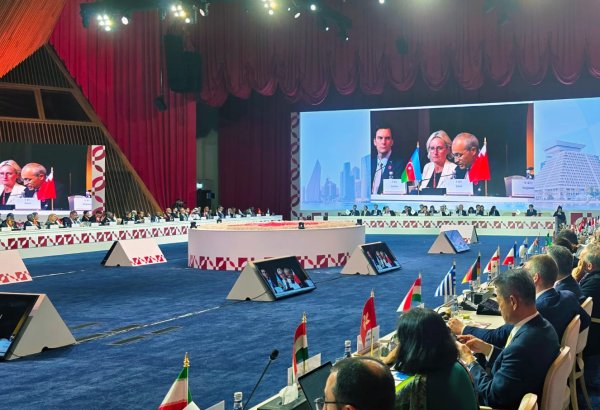 Azerbaijan, AIIB brainstorm new investment projects (PHOTO)
