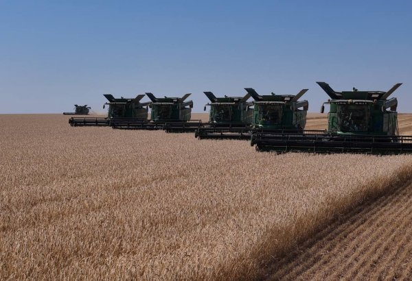 Kazakhstan harvests 83% of grain crops, threshes 19.9M tons