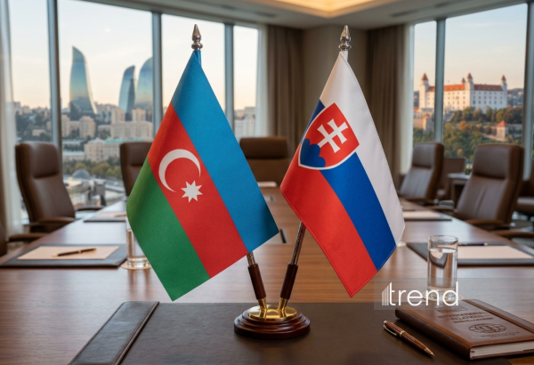 Azerbaijan approves classified information protection deal with Slovakia