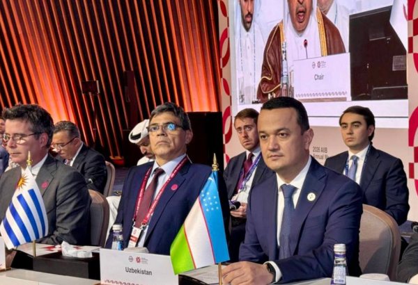 Uzbekistan calls for stronger AIIB role in regional infrastructure