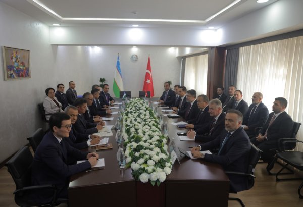 Uzbekistan, Türkiye set sights on new agricultural projects