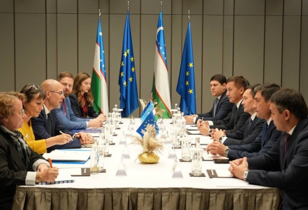 Uzbekistan, EU push investments to strengthen Trans-Caspian Corridor