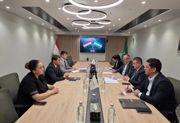 Uzbekistan, Tajikistan advance IT Park cooperation in Dushanbe