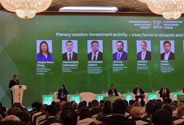 Turkmenistan seeks investment in energy, industry and transport sectors - minister