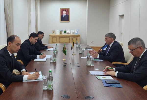 Turkmenistan, Lithuania discuss trade, transport cooperation via Central Asia-EU format