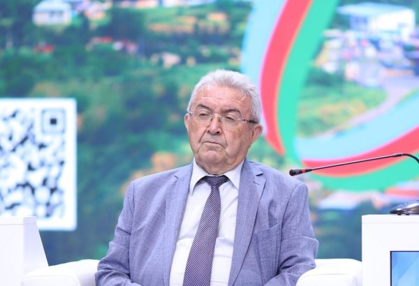 Azerbaijan awards Misir Mardanov with "Sharaf" Order - decree