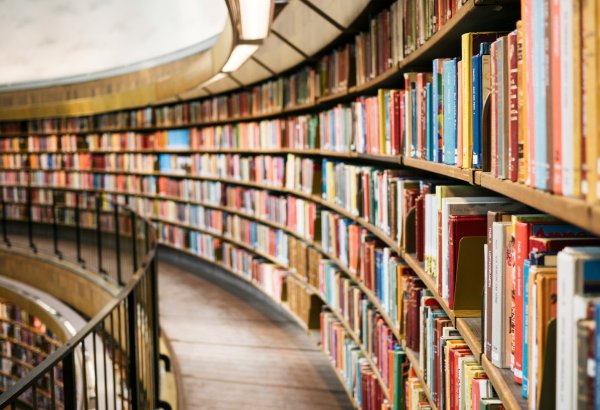 Georgia’s education non-profits capture 34.2% of auxiliary turnover