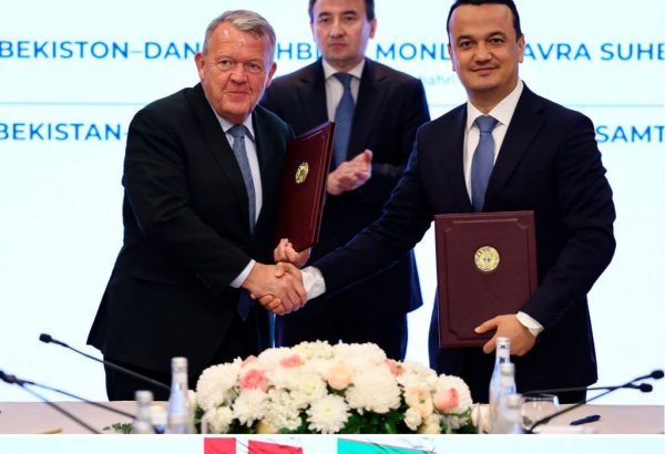 Uzbekistan, Denmark establish bilateral commission on trade, investment