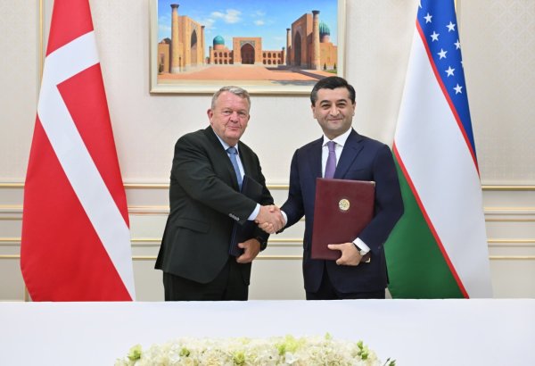 Uzbekistan, Denmark ink MoU on political consultations