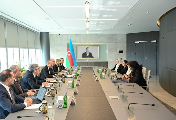Azerbaijan, DCO discuss expanding digital cooperation (PHOTO)