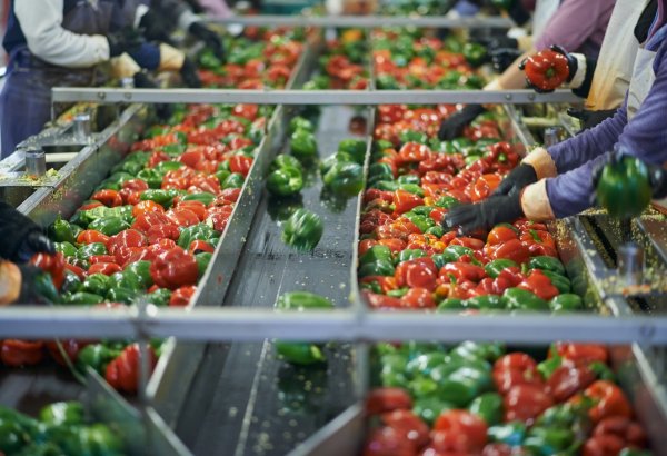 Iran proposes integrated food chain with Central Asian countries