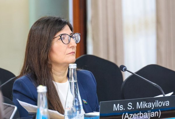Azerbaijani MP Sevil Mikayilova attends IPU Executive Committee meeting in Arusha (PHOTO)