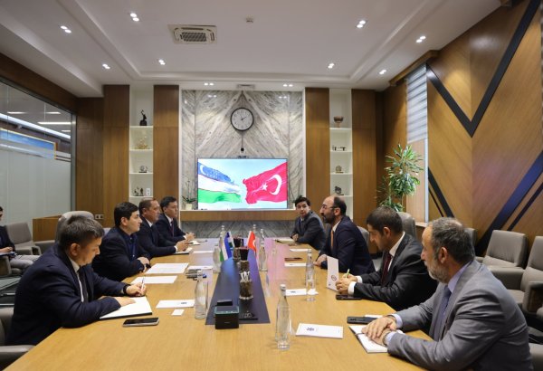 Uzbekistan, Türkiye's Nakkaş Holding seek new opportunities in minerals